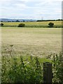 Mown field near Greatham in Fens & Greatham Ward