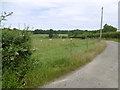 Lane near Arnold's Oak Farm in East Downs Ward