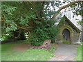 The ancient yew in St Mary's Churchyard, Eastling in Eastling