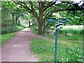 Paths on Wokefield Common in RG7 3DU