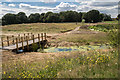 Bridge over Drainage Ditch, Firs Farm Wetlands, London N21 in N9 9UJ