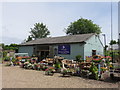 Mayfield Lavender Nursery in SM7 1NB