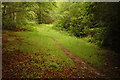 Forest Path in IV4 7HU