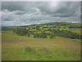 Pasture at Town End Farm in LA6 2PR