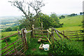 Stile on a path on Cardington Hill in SY6 7LL