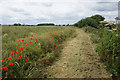 Path leading to Burnhill Bridge in WF8 3HB