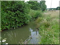 A branch of the River Teise in TN17 1HG