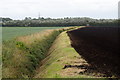 Black soil, Halsall Moss in Halsall