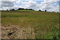Windmill Hill viewed from the north in CV35 0SR