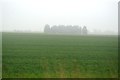 Misty Fens in PE33 0JN