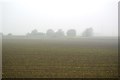 Misty farmland in PE33 0LQ