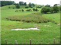 Marshy area, east of Cyfronydd Station in SY21 9EU