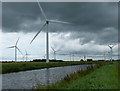 Stags Holt Wind Farm and the River Nene in PE15 0BU