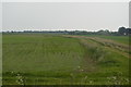 Farmland and drainage ditch in TN29 9BQ