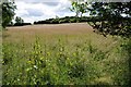 Farmland below Epwell Hill in Epwell