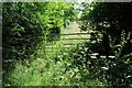 Field gate in Epwell