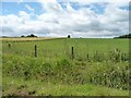 Contrasting fields alongside the A66 in CA16 6XX
