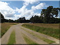 Knettishall Heath car park in Knettishall