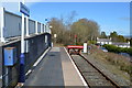 The end of the line, Gunnislake Station in PL18 9YT