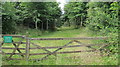 Track through woodland in BS40 8TX