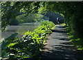 Union Canal towpath near Jaw Bridge No 13 in EH12 9BZ