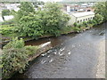 Confluence of the Rhondda Fach and Rhondda Fawr in CF39 9UT