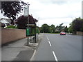 Bus stop and shelter on Russell Drive, Wollaton in NG8 2DA