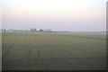 Farmland south of Manor Farm in PE34 3HH