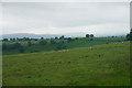 Sheep fields below Hazler Hill in SY6 7EX