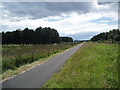 Long straight on cycle path between Barry and Monifieth in DD7 7SA
