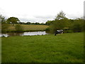 Farmland with Lake near Pennyfarthing Estates Farm House in BH25 5TL