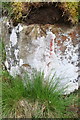 Benchmark on rock outcrop at Weaker Brow in DL11 6EA