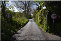 Wootton Courtenay : Country Lane in TA24 8RA