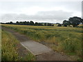 Storth Lane and Crop Field in Kiveton Park