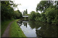 Erewash Canal towards bridge #23A in DE7 8SU