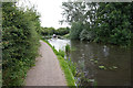 Erewash Canal near Larklands in DE7 5EP