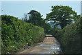 East Devon : Rydon Lane in EX5 1LA