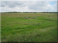 View from a Norwich-Great Yarmouth train - Gates on Tunstall Marshes in NR29 3EP