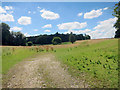 Towards Totterdown Copse in RG17 9EB
