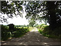Track to Hayne Barton in EX15 1QN