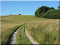 Path to Cherhill Hill in SN11 8XY