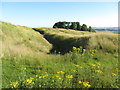 Earthworks at Oldbury Castle in SN11 8XY