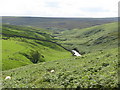 The valley of Beldon Burn west of Heatheryburn Farm in NE47 0JH