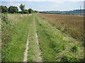 South Downs Way towards Chilcomb in SO23 0QL