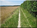 South Downs Way from Chilcomb towards Winchester in SO21 1HR