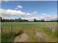 Arable field north of Mitford in NE61 3PJ