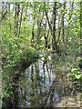Turkey Brook on the east side of Whitewebbs Park in EN2 9HJ