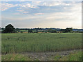 Over the fields to Cossall and Ilkeston in Broxtowe District (B)