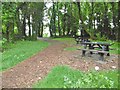 Lower Sketty, picnic site in SA3 5DD