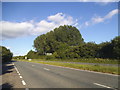 The A31 south of Alton in GU34 2TQ